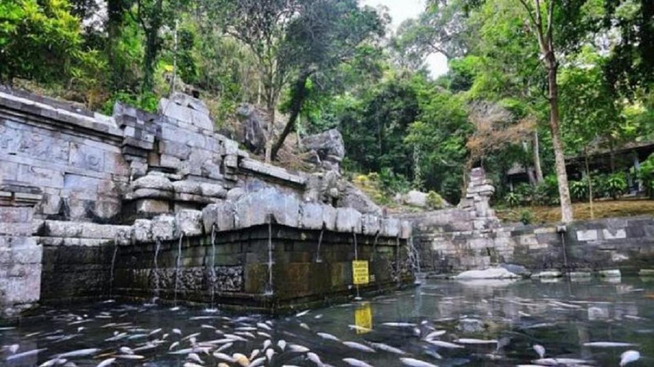 Willa Welirang Forest Pacet Mojokerto Zewnętrze zdjęcie